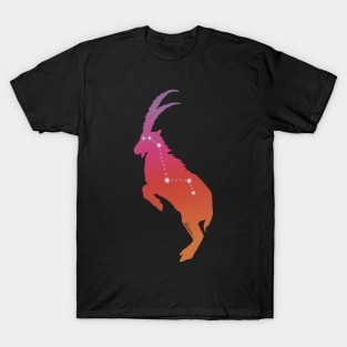 Aries Zodiac Sign T-Shirt